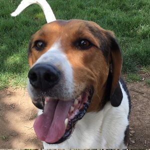 Meet your Posher, Maggie